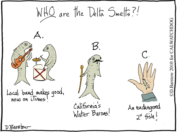 delta smelt cartoon