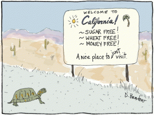 cavisit
