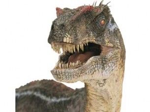 velociraptor head