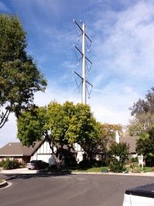 IMG_0127