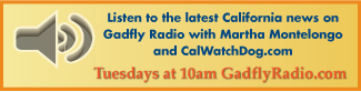 The Martha Montelongo Show with CalWatchdog