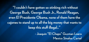 Drug Cartel quote