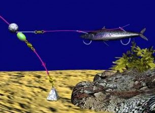 fish bait