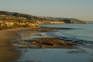 dsc_0131a