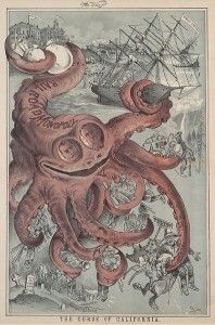 Octopus - curse of California
