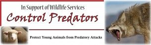 wildlife.services.header