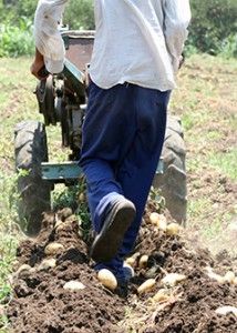 Agricultural worker, BLS handbook