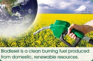 whatisbiodiesel