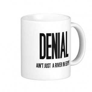 Denial river in egypt